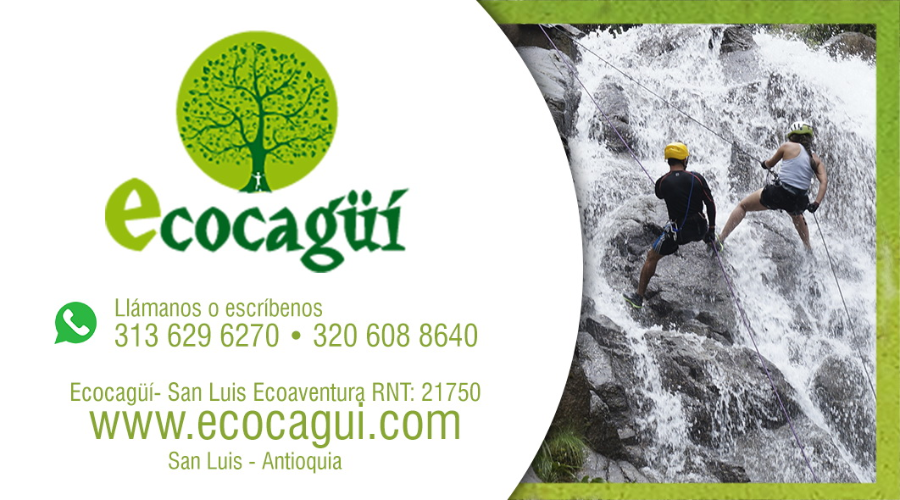 Tarjeta personal Ecocagüi