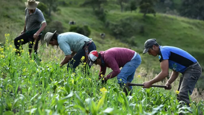 LLEGA A SAN LUIS EL SERVICIO DE EXTENSIÓN AGROPECUARIA