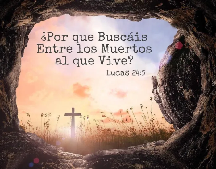 ¿POR QUÉ BUSCAN ENTRE LOS MUERTOS AL QUE ESTÁ VIVO?