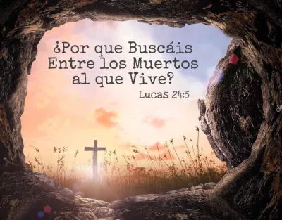 ¿POR QUÉ BUSCAN ENTRE LOS MUERTOS AL QUE ESTÁ VIVO?