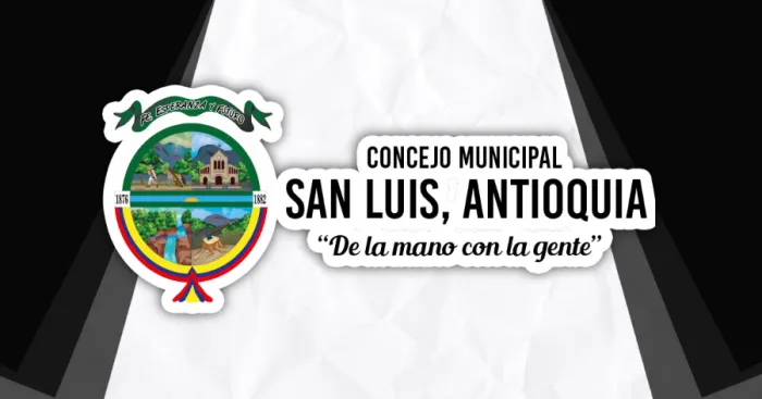 COMISIONES DE LOS CONCEJOS MUNICIPALES