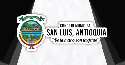 COMISIONES DE LOS CONCEJOS MUNICIPALES