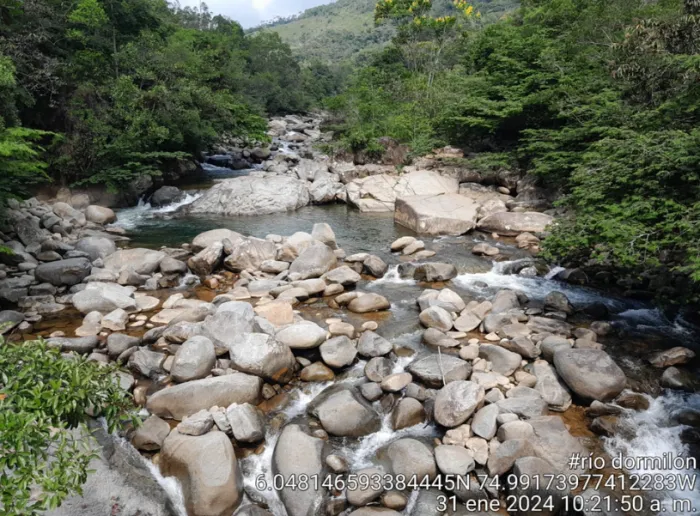 Río Dormilón Año 2024