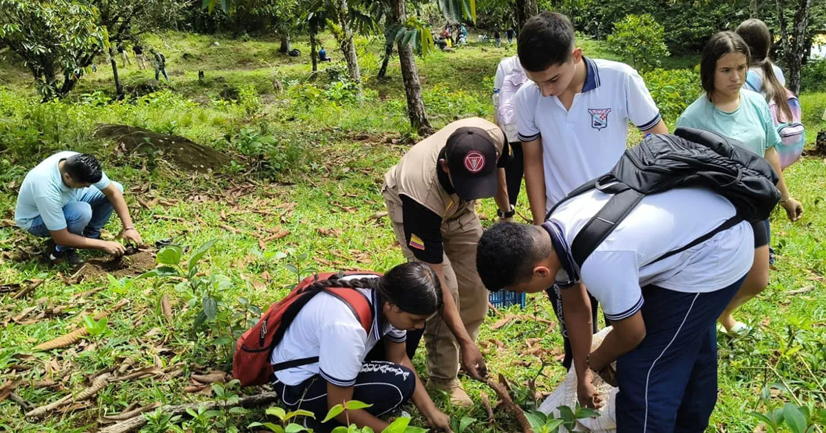 Reforestación en las Riberas del Rio Dormilón