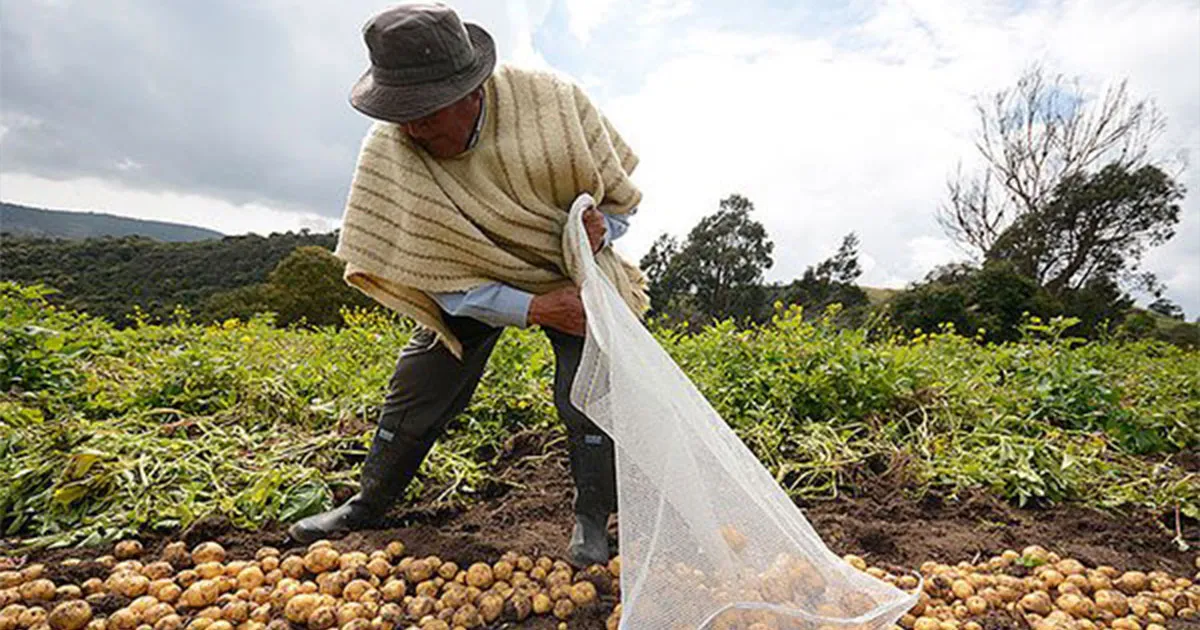 El Servicio Público de Extensión Agropecuaria, un servicio público de competencia MUNICIPAL