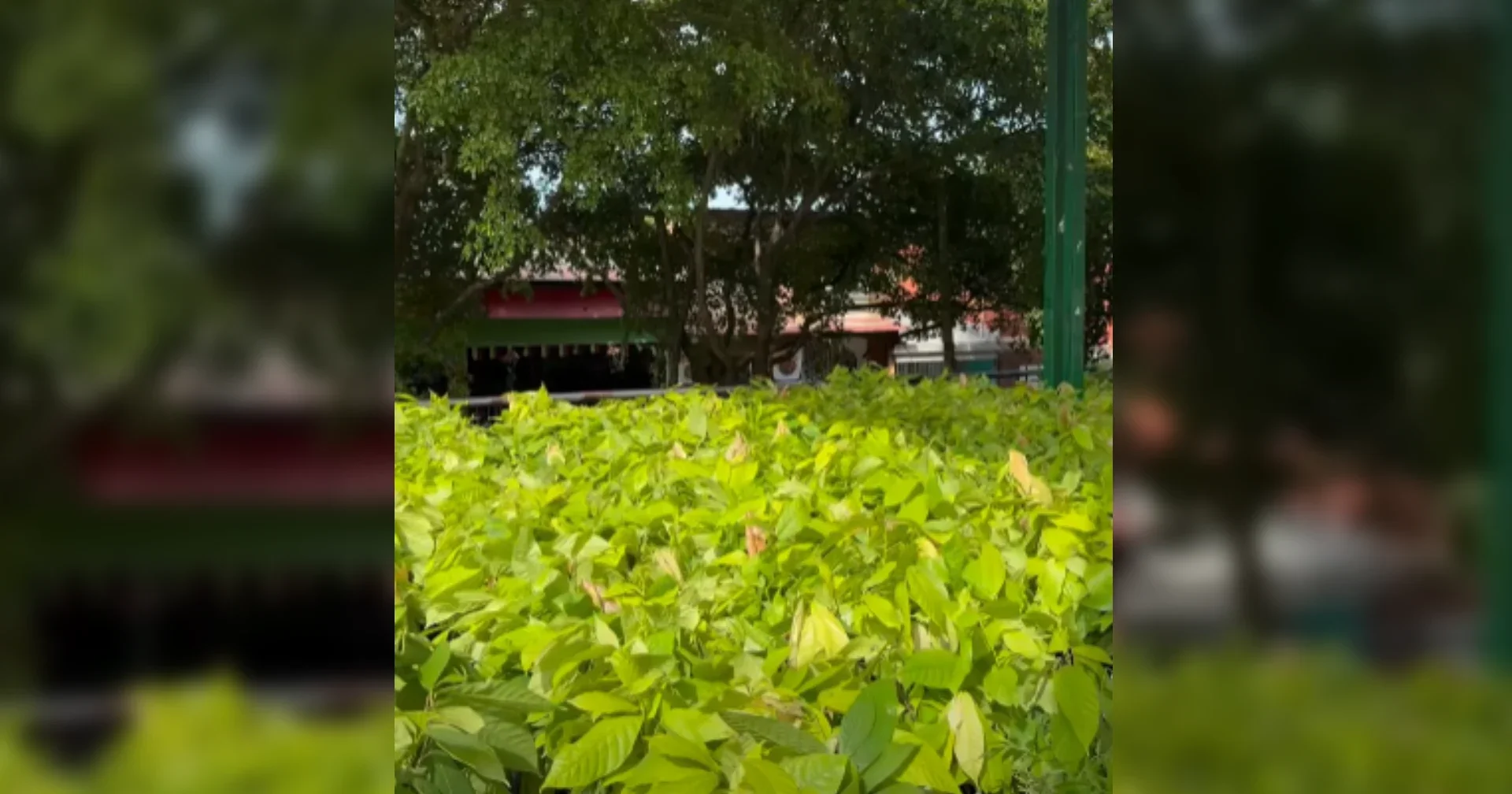 ¡Fortalecemos el campo sanluisano!