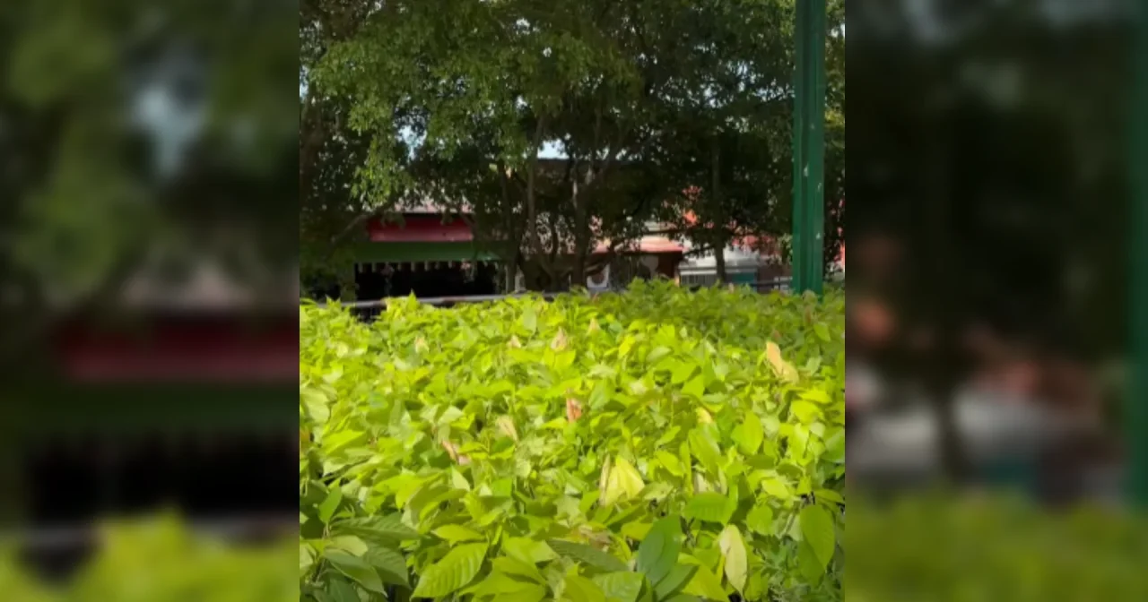 ¡Fortalecemos el campo sanluisano!