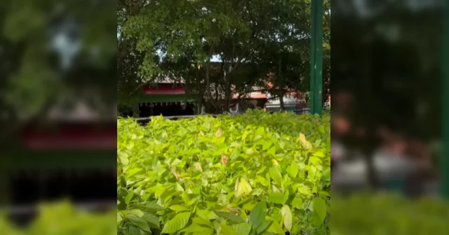 ¡Fortalecemos el campo sanluisano!