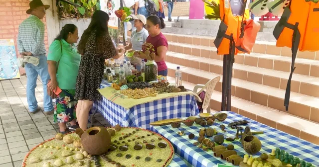 Los Mercados Campesinos en San Luis: Entre la memoria y la reinvención